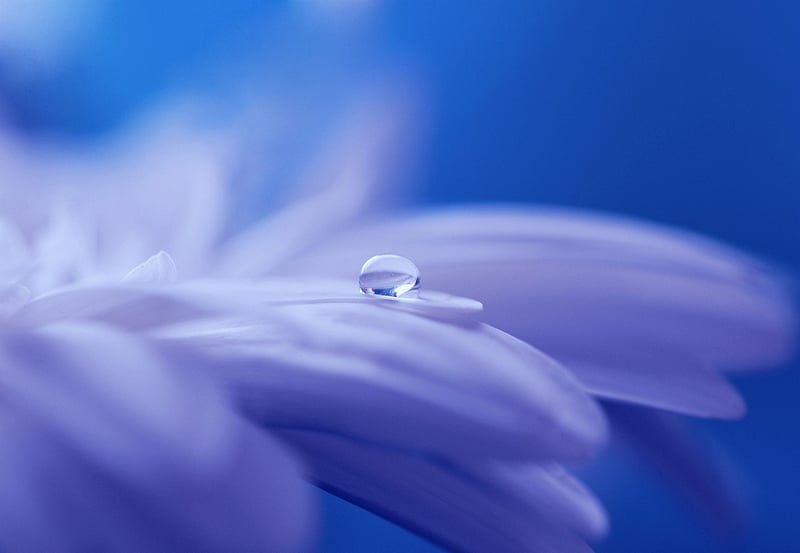 Ethereal Elements